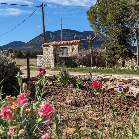 Diminio 3 Whole House - *