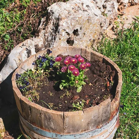 Diminio 3 Whole House -